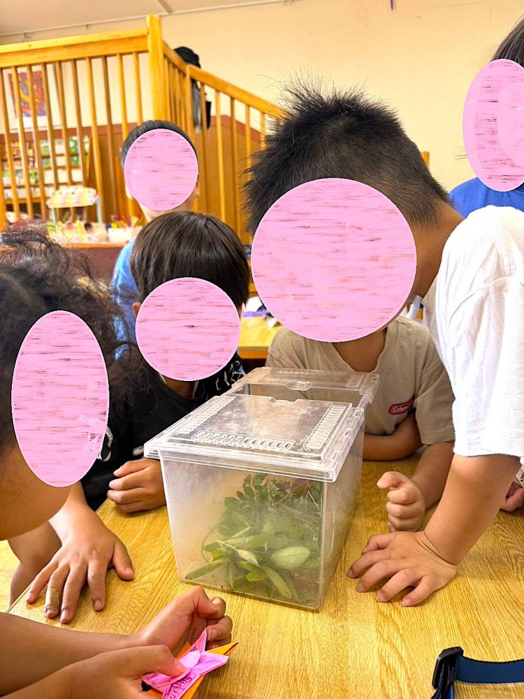 1-2.jpg